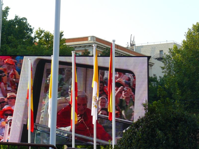 p1390532.jpg