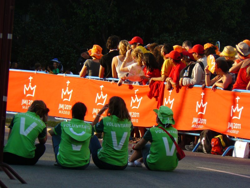 p1390538.jpg
