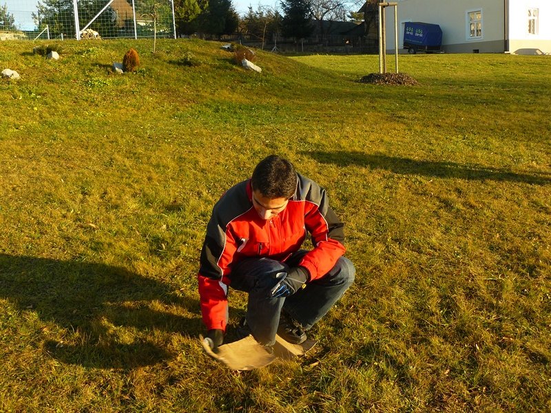 p1430539800x600.jpg