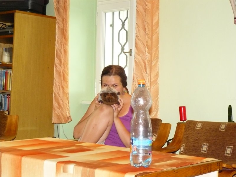 p1510946.jpg