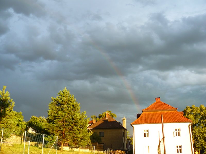 p1510973.jpg