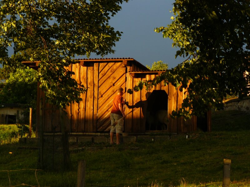 p1510975.jpg