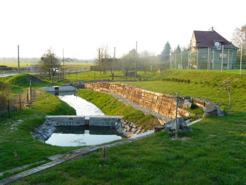 p1460856.jpg