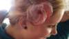 dsc04686_small.jpg