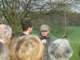 dscf0069_small.jpg