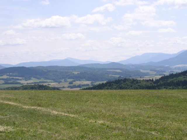 p1010004.jpg